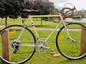 Malvern Star customised project